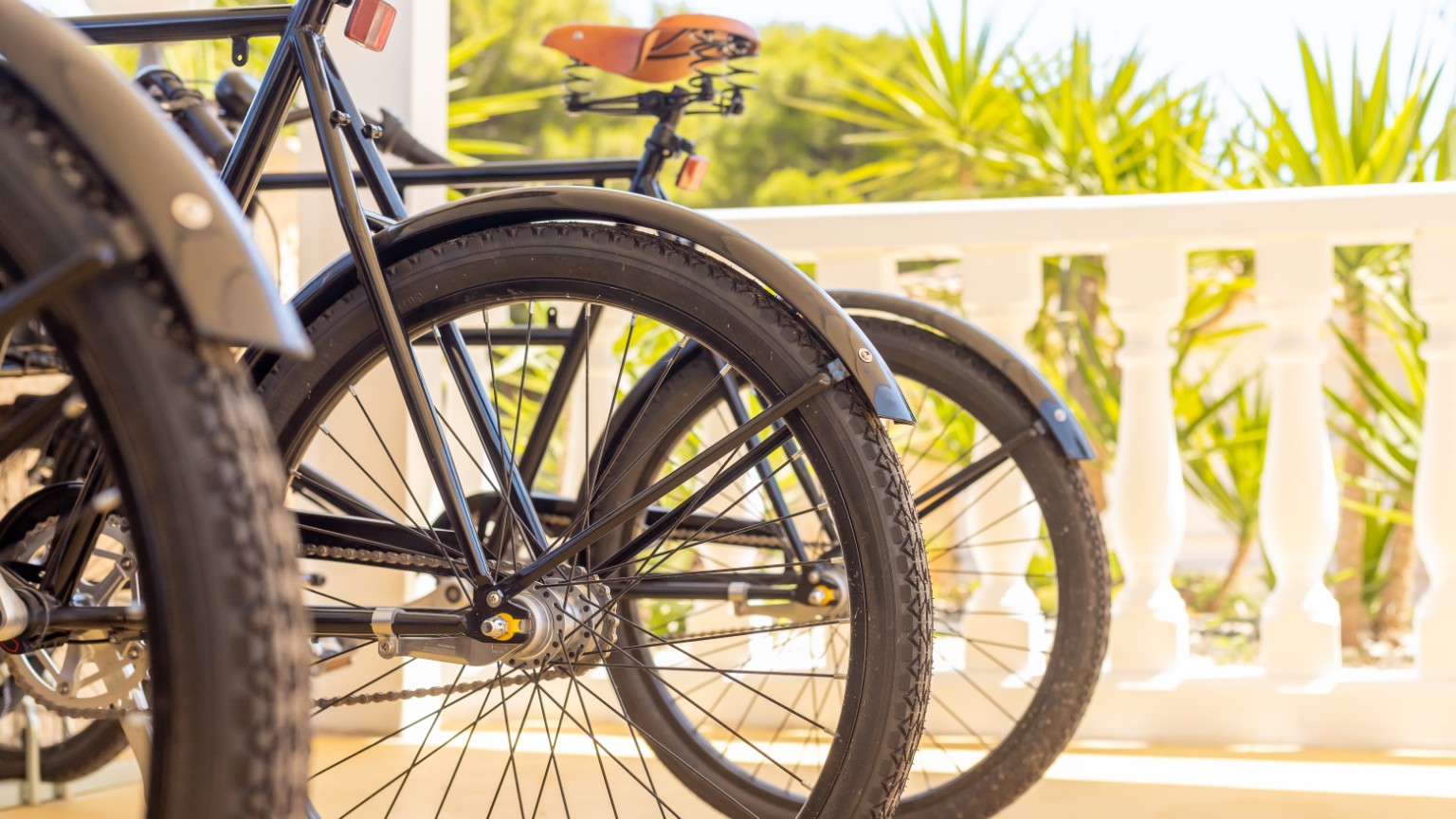 Estate bicycles ready beside the house
